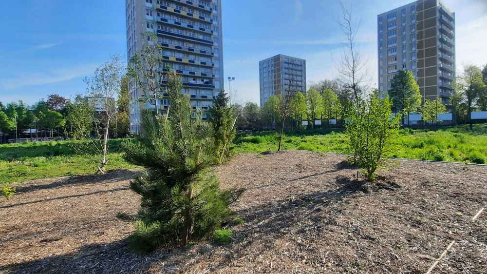 Orizome, un nouveau procédé de réalisation de terre végétale à partir de déchets de chantier, est en observation à Loos (59), près de Lille. Si les résultats sont probants, les entreprises commercialiseront le produit. Orizome, un nouveau procédé de réalisation de terre végétale à partir de déchets de chantier, est en observation à Loos (59), près de Lille. Si les résultats sont probants, les entreprises commercialiseront le produit.