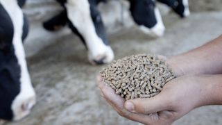 L'application Optim’Al permet de concevoir des rations avec une meilleure autonomie protéique et d’en évaluer les impacts économiques. L'application Optim’Al permet de concevoir des rations avec une meilleure autonomie protéique et d’en évaluer les impacts économiques.