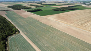 Pour la campagne 2023, la décision de déroger à l'obligation de mettre certaines parcelles en jachères a été validée début août. Pour la campagne 2023, la décision de déroger à l'obligation de mettre certaines parcelles en jachères a été validée début août.