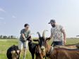 Isabelle Thiers et Abdenour Hammad sont associés à la ferme Toussacq depuis 2021.
