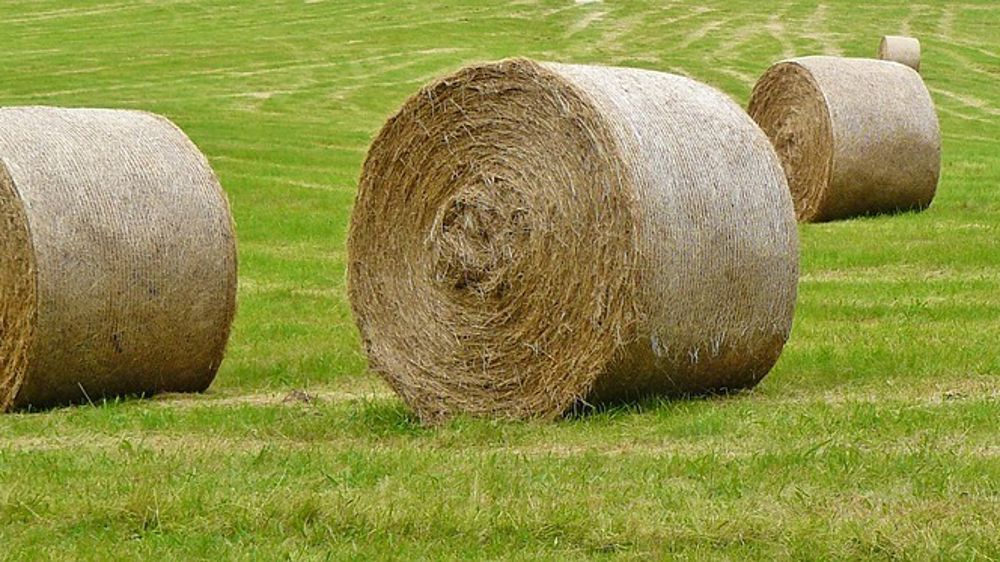 Au 20 juillet 2023, la pousse cumulée de l'herbe des prairies permanentes françaises est déficitaire de 3 % par rapport à la période de référence (1989-2018).