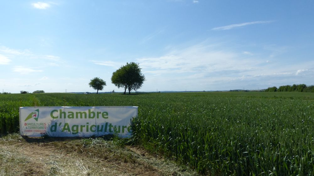Le Lierre plaide pour de nouvelles règles électives au sein des chambres d'agriculture.
