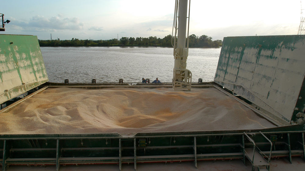 La volatilité reste forte sur le marché du maïs au gré des évènements dans le conflit entre l'Ukraine et la Russie.