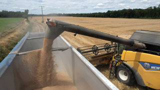 La clause de renégociation de certains contrats de céréales est désormais facultative.
