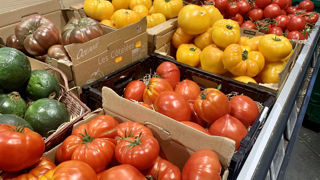 La tomate fait partie des fruits et légumes dont la consommation a souffert de la météo. La tomate fait partie des fruits et légumes dont la consommation a souffert de la météo.