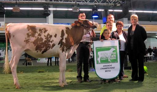 Gamine (Rubens x Kite) au Gaec Toulze (Cantal), Grande championen Red-holstein 2012