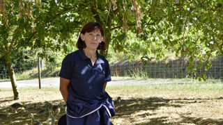 « L’arrivée de la vaccination reste une très bonne nouvelle pour tous les acteurs de la filière », assure Chantal Brèthes, vice-présidente de Maïsadour en charge de la filière des palmipèdes.