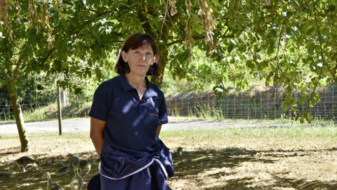 « L’arrivée de la vaccination reste une très bonne nouvelle pour tous les acteurs de la filière », assure Chantal Brèthes, vice-présidente de Maïsadour en charge de la filière des palmipèdes.