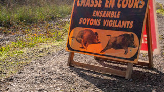 La chasse du grand gibier reste la chasse la plus accidentogène. La chasse du grand gibier reste la chasse la plus accidentogène.