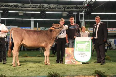 Galaxy Golden Girl (Payoff), à l'Earl de la Vincais (Loire-Atlantique), Grande championne