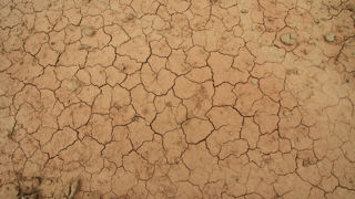 Le gouvernement espagnol a annoncé débloquer près de 12 milliards d'euros pour le développement de solutions face aux sécheresses à répétition qui frappent le pays. Le gouvernement espagnol a annoncé débloquer près de 12 milliards d'euros pour le développement de solutions face aux sécheresses à répétition qui frappent le pays.