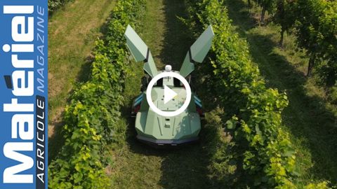 Free Green Nature : le robot Icaro X4 traite les vignobles grâce aux UV Free Green Nature : le robot Icaro X4 traite les vignobles grâce aux UV