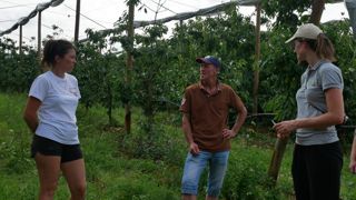 Franck Clavel, arboriculteur à Saint-Nazaire-de-Valentane, dans le Tarn-et-Garonne, présente ses parcelles équipées en filets périphériques, lors d'une visite organisée par la chambre d'agriculture.