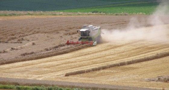Moissonneuse dans une plaine de blé