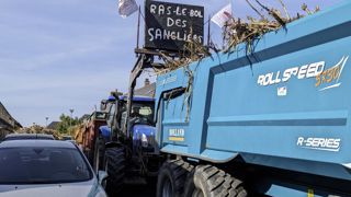 Confrontés à des dégâts récurrents, une quarantaine d’agriculteurs ont manifesté leur colère à Sceaux-d’Anjou (Maine-et-Loire). Confrontés à des dégâts récurrents, une quarantaine d’agriculteurs ont manifesté leur colère à Sceaux-d’Anjou (Maine-et-Loire).