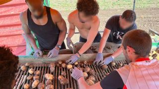 Cinq détenus endossent le rôle de travailleurs ponctuels pour trier les pommes de terre dans une exploitation de l'Eure-et-Loir, le temps d'un été. Cinq détenus endossent le rôle de travailleurs ponctuels pour trier les pommes de terre dans une exploitation de l'Eure-et-Loir, le temps d'un été.