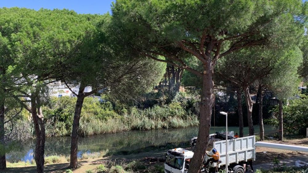 L’agriculture figure parmi les secteurs surreprésentés en matière d'accidents du travail.