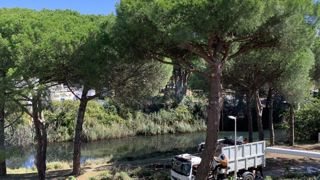 L’agriculture figure parmi les secteurs surreprésentés en matière d'accidents du travail.