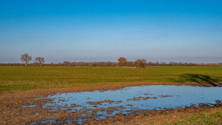 Météo-France prévoit jusqu'à 250 millilitres d'eau cumulée localement. Météo-France prévoit jusqu'à 250 millilitres d'eau cumulée localement.