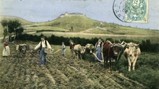 Semence de blés et labourage en Auvergne, sur une carte postale colorisée aux environs de 1904. Semence de blés et labourage en Auvergne, sur une carte postale colorisée aux environs de 1904.