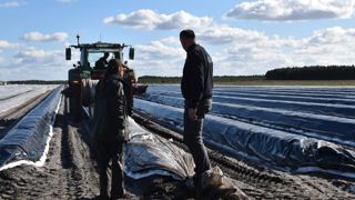 Le retour des travailleurs saisonniers agricoles est encadré par plusieurs textes réglementaires. © R. Aries Le retour des travailleurs saisonniers agricoles est encadré par plusieurs textes réglementaires. © R. Aries