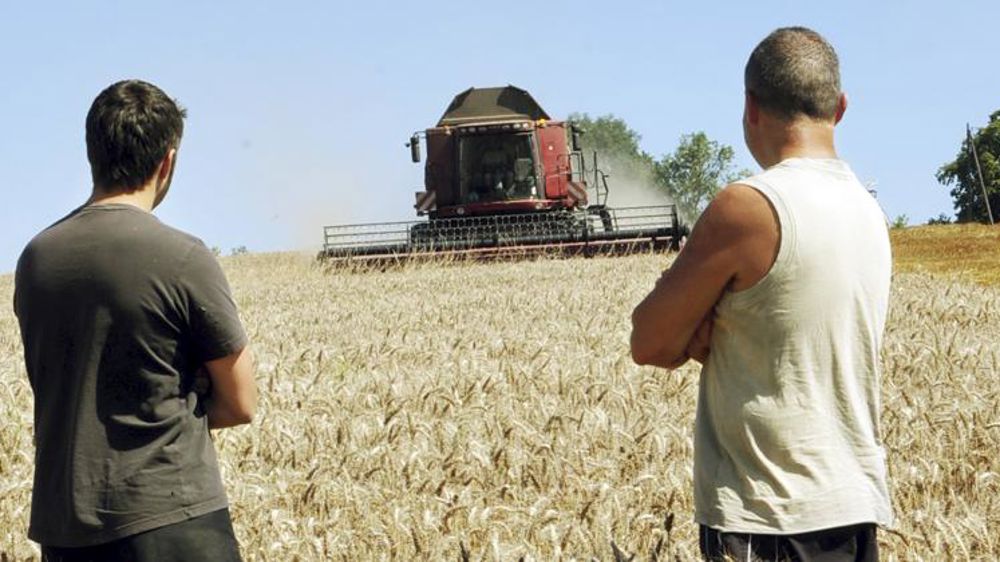 Quelle place donnée au chef de culture ? Entre associés et salariés, il convient de bien définir les responsabilités. © J.-B. Laffitte