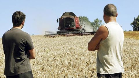 Quelle place donnée au chef de culture ? Entre associés et salariés, il convient de bien définir les responsabilités. © J.-B. Laffitte