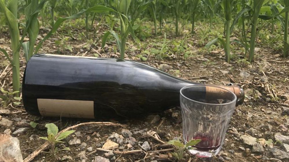 Claude, éleveur : « Je me retrouvais donc avec un salarié en état d’ébriété, et qui ne pouvait plus rien faire sur l’exploitation ». © R. Aries/GFA