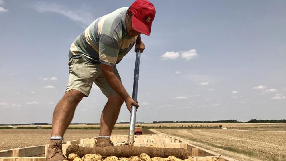 Le nombre de salariés en agriculture a augmenté de 2,2 % de 2010 à 2016. © Rosanne Aries/GFA