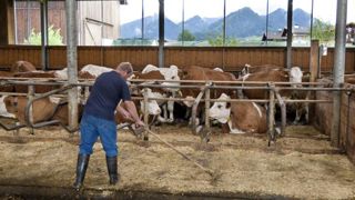 Face à la pénurie de candidats, les employeurs agricoles veulent aller chercher de la main-d’œuvre en dehors de l’Union européenne. © Claudius Thiriet Face à la pénurie de candidats, les employeurs agricoles veulent aller chercher de la main-d’œuvre en dehors de l’Union européenne. © Claudius Thiriet