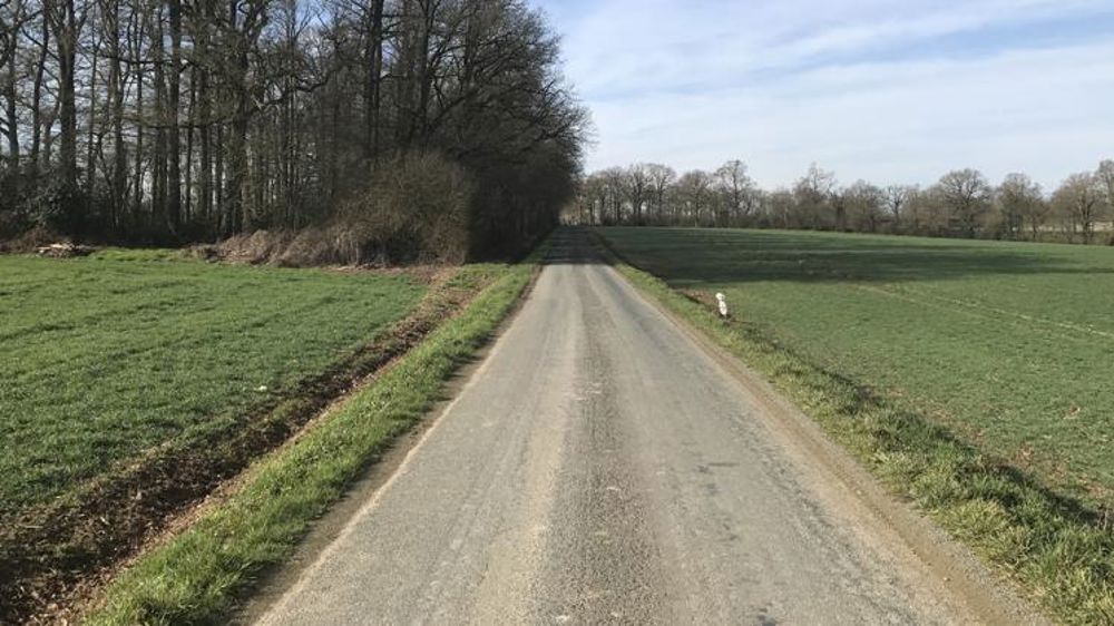 L’employeur doit fournir un justificatif de déplacement à son salarié. © Rosanne Aries