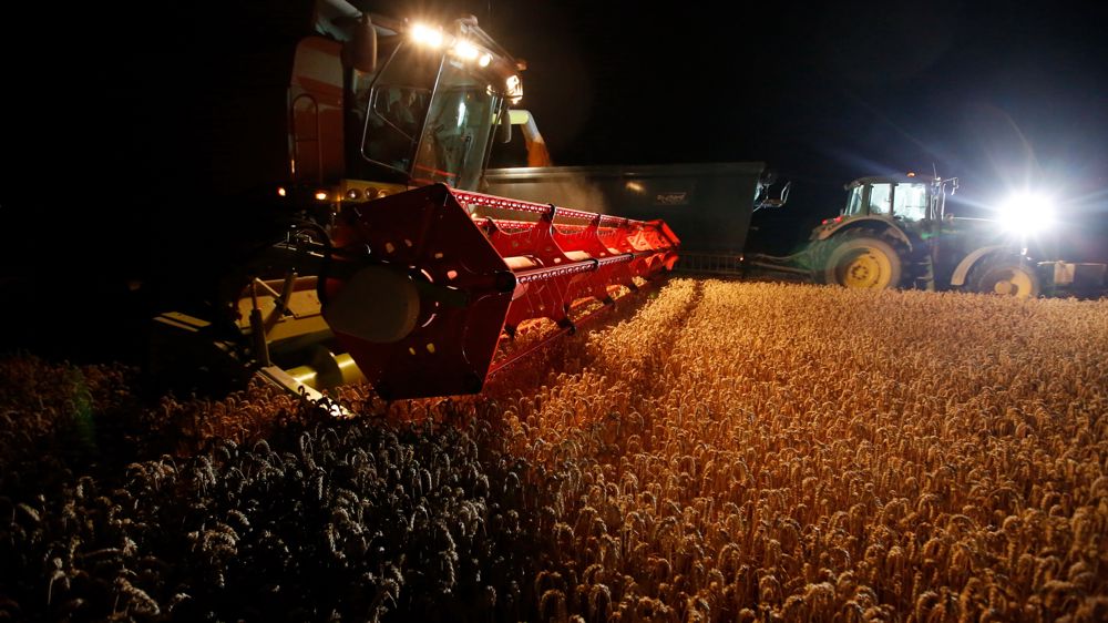 Un agriculteur, comme tout employeur, est contraint de mesurer le temps de travail de ses salariés (moisson en Champagne). © Gutner