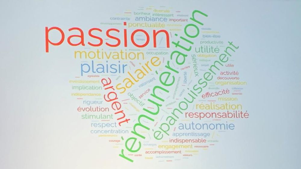 Dans le cadre d'une enquête du Naca autour du travail auprès d'élèves et d'étudiants, c'est le volet touchant l'engagement personnel (passion, plaisir, épanouissement, motivation) qui ressort du nuage de mots constitué, puis les éléments financiers (rémunération, salaire, argent).