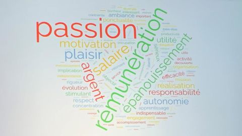 Dans le cadre d'une enquête du Naca autour du travail auprès d'élèves et d'étudiants, c'est le volet touchant l'engagement personnel (passion, plaisir, épanouissement, motivation) qui ressort du nuage de mots constitué, puis les éléments financiers (rémunération, salaire, argent).