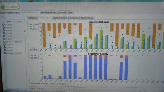 Graphique bilan des données du système RumiWatch