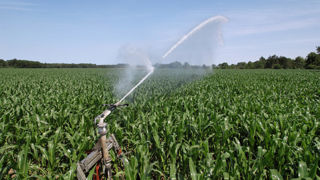 Selon le cabinet du ministère de l'Agriculture, la répartition des surfaces irriguées en France va évoluer.