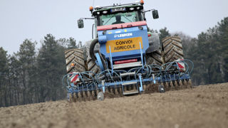La pratique du semis d'orge de printemps en automne n’est pas sans risque et ne peut pas être généralisée. La pratique du semis d'orge de printemps en automne n’est pas sans risque et ne peut pas être généralisée.