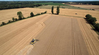 Les prix des produits agricoles ont progressé de 23 %, alors que les volumes de production ont baissé de 3 % en 2022, selon Eurostat.