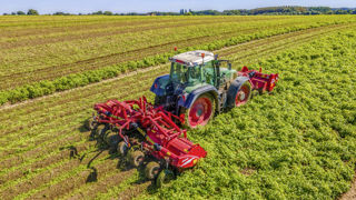Toppa est la nouvelle génération d'effeuilleuses de Grimme, présentée au salon Agritechnica 2023. Toppa est la nouvelle génération d'effeuilleuses de Grimme, présentée au salon Agritechnica 2023.