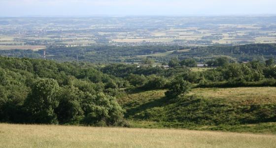 Paysage de champs.