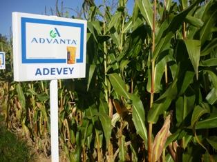 Adevey a confirmé de très bons rendements cette année.