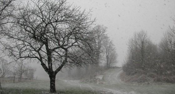 Paysage avec neige