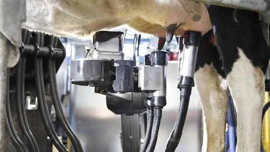 Robot de traite DeLaval