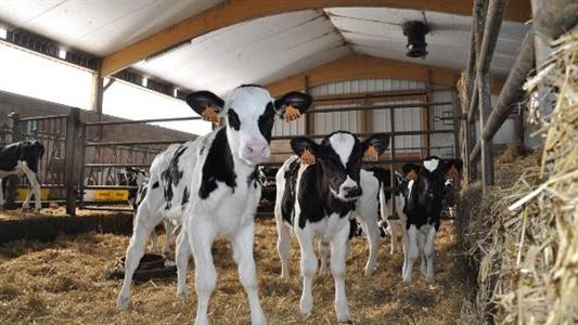 Ventilation dynamique en nursery