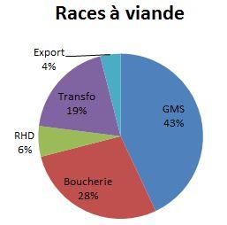 Débouchés races à viande