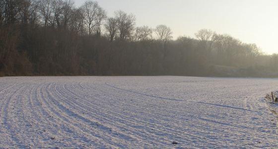 Neige prévue jeudi 