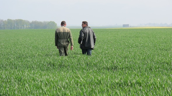 Bilan de quatre stratégies face aux maladies de l'année 2012.
