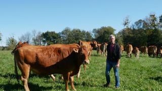 Philippe Dujardin élève 70 vaches limousines, dont environ 25 % sont réformées afin de « faire progresser génétiquement le troupeau ».