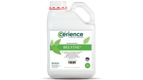 Cérience lance en bidon de 10 l Belvine, un stimulateur de défense des plantes homologué en vigne sur mildiou et oïdium.