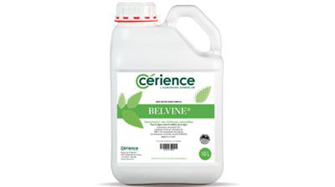 Cérience lance en bidon de 10 l Belvine, un stimulateur de défense des plantes homologué en vigne sur mildiou et oïdium.